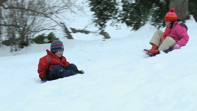 WS TS兄弟(6-7)和姐妹(10-11)在雪/里士满，弗吉尼亚州，美国视频素材