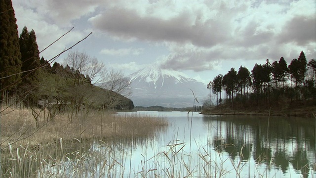 宁静的川口湖被树木环绕，背景是白雪覆盖的富士山/山梨县，日本视频素材