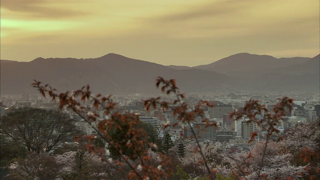 暮色中的京都塔城市景观/京都，京都县，日本视频素材