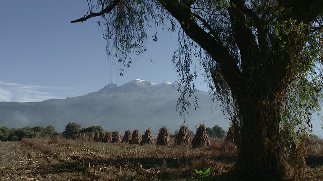 WS Iztaccihuatl火山与玉米田和树/ Amecameca，墨西哥视频素材