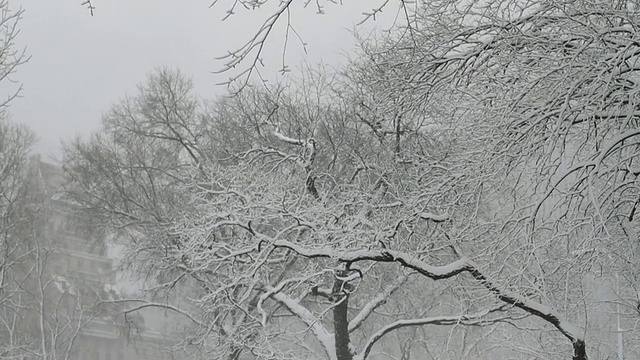 WS TD中央公园在雪/纽约，纽约，美国视频素材