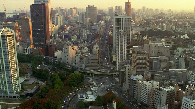 日本东京市中心，WS HA视频素材