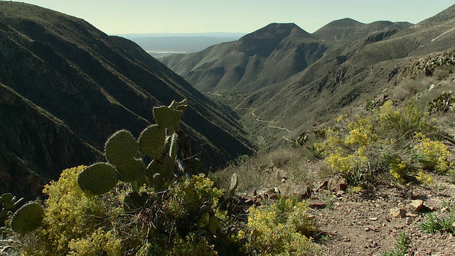 沙漠山脉和道路/ Real de Catorce，圣路易斯波托西，墨西哥视频素材