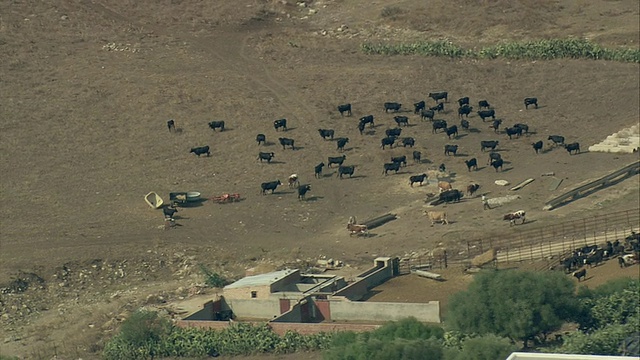 WS ZO鸟瞰图附近的农舍/ Medina Sidonia，安达卢西亚，西班牙视频素材