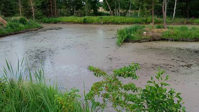 缓慢向后飞过沼泽池塘和岛屿视频下载