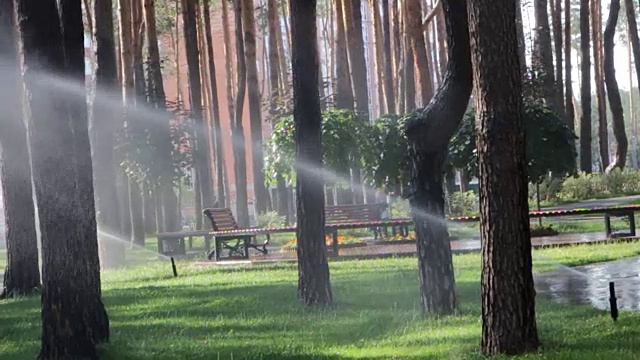 自动洒水系统浇灌草坪在绿色的草的背景视频素材