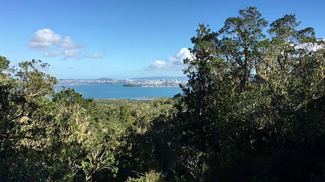 新西兰兰伊托岛的奥克兰城市天际线视频素材