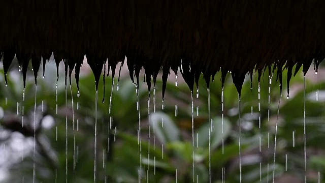 热带夏雨滴落在花园的稻草屋顶上。印尼巴厘岛视频素材