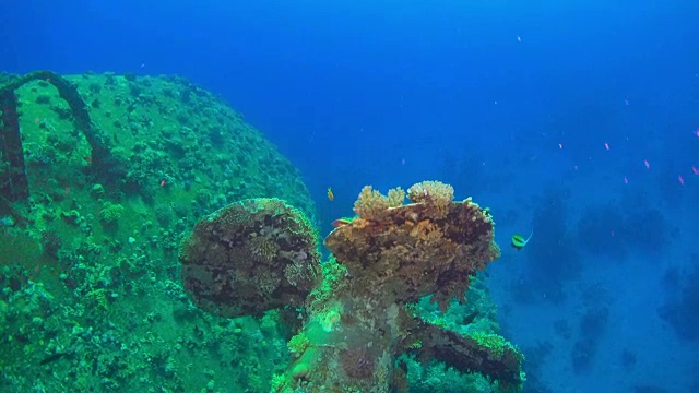 在海底失事的船只视频素材