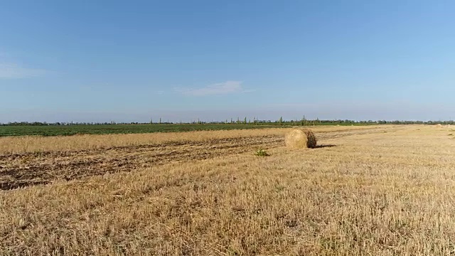 田野里的空中干草堆。收获，干草，稻草，夏天。视频素材