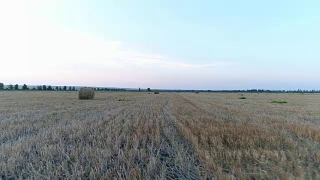 航拍，田野里的草堆，稻草卷。视频素材