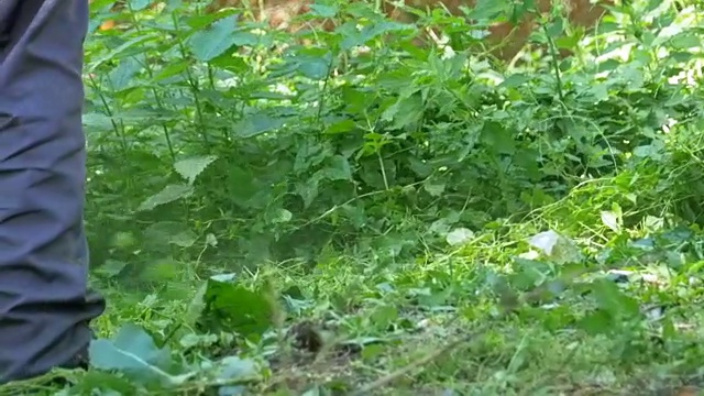 在慢镜头中，一名男子用便携式割草机割草视频素材