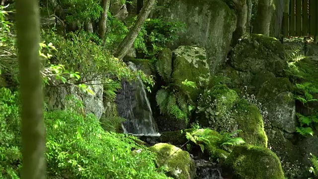 日本花园中的小瀑布视频素材