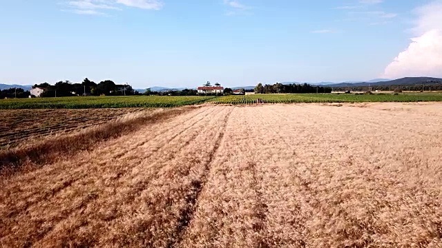 意大利,托斯卡尼。农村麦田的鸟瞰图视频素材