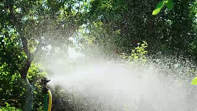 洒水系统把水喷到花园里的草地上。视频素材