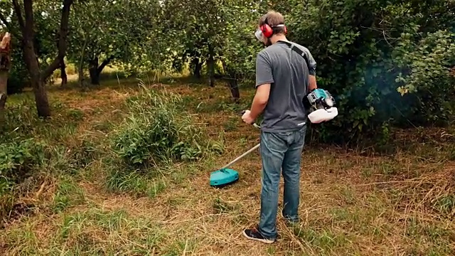 用线切割器在果园里割草的割草机视频素材