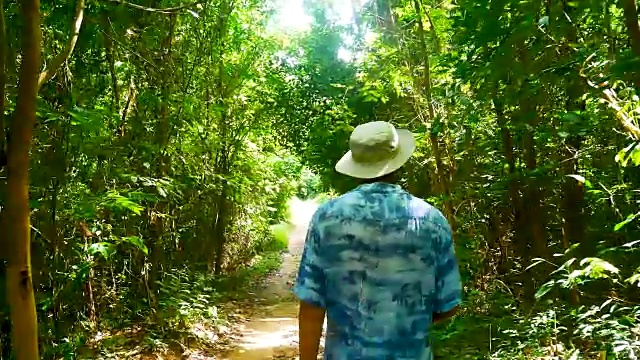 旅行视频旅行博客或Vlogger徒步或徒步在热带雨林或热带森林旅行的概念，后摄像头的观点。视频素材