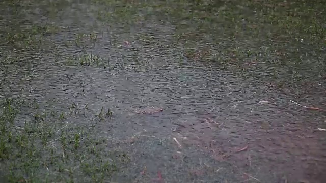 降雨视频素材