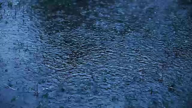 点心雨视频素材