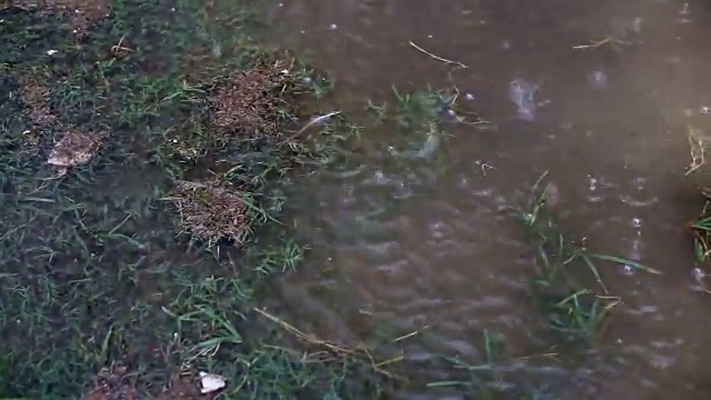 降雨在水坑视频素材