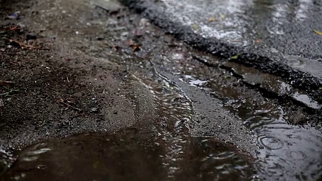 路边的雨水视频素材