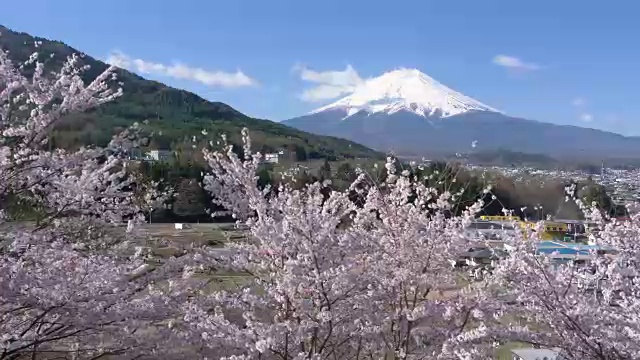 富士山上樱花盛开视频素材