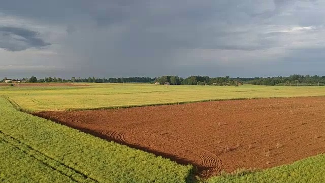 清晨，无人机在夏田油菜地和新犁的上空飞行视频素材