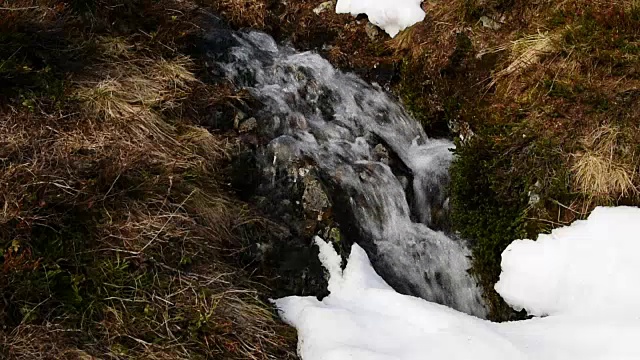 小弹簧流视频下载