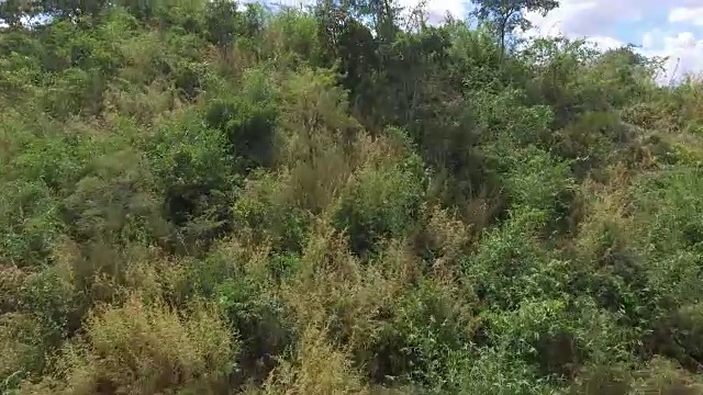 航空山景马拉维视频下载