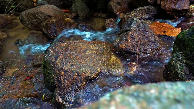 山林中的小溪。纯净清澈的泉水。山区河流视频素材