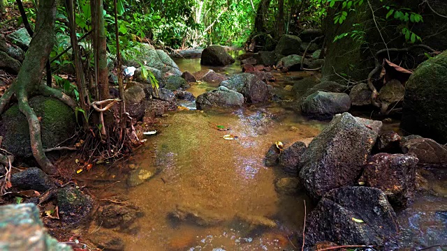 纯净的山河，水从岩石中流过。春天视频素材