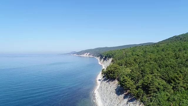 美丽的海岸和森林的全景。视频素材