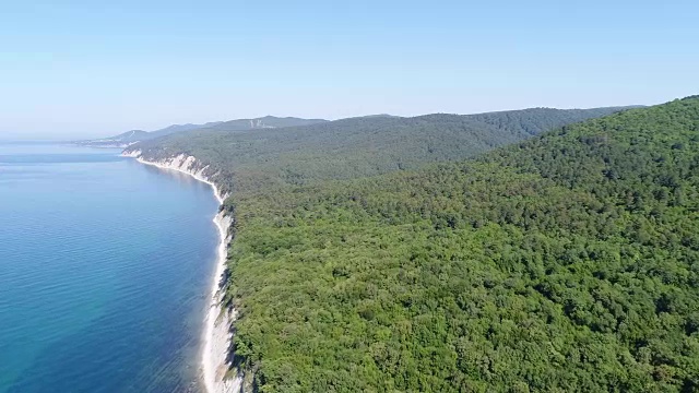 森林、小山、树木和蓝色的大海，美丽的背景。视频素材