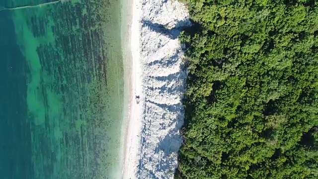 鸟瞰图，大海，海滩和森林。视频素材