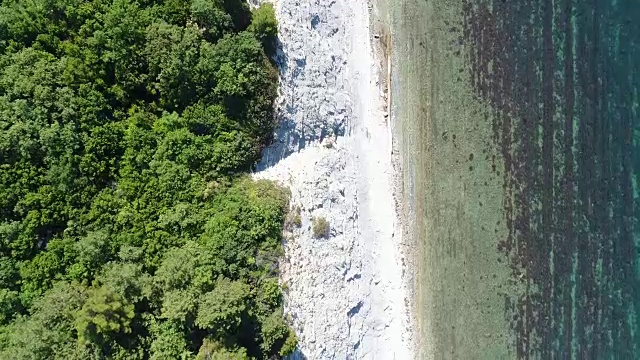 海洋背景。鸟瞰图，蓝色的海洋和绿色的森林。视频素材