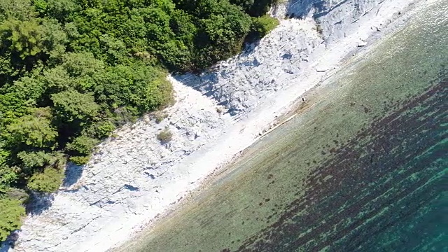 鸟瞰图，蓝色的海洋和绿色的森林。海洋背景。视频素材