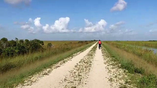 在佛罗里达大沼泽地骑自行车的个人观点视频素材