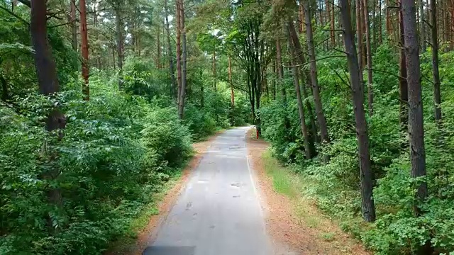 在黑暗茂密的森林中，慢慢地飞过古老的道路。视频下载