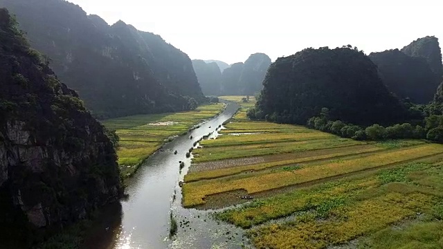 在Tam Coc稻田附近的Ngo洞河上的船只视频下载