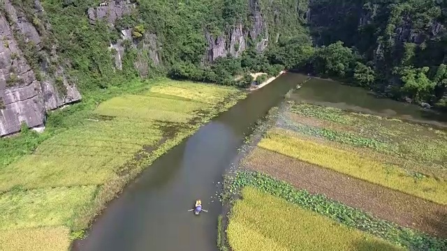 在Tam Coc稻田附近的Ngo洞河上的船只视频下载