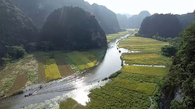 在Tam Coc稻田附近的Ngo洞河上的船只视频下载