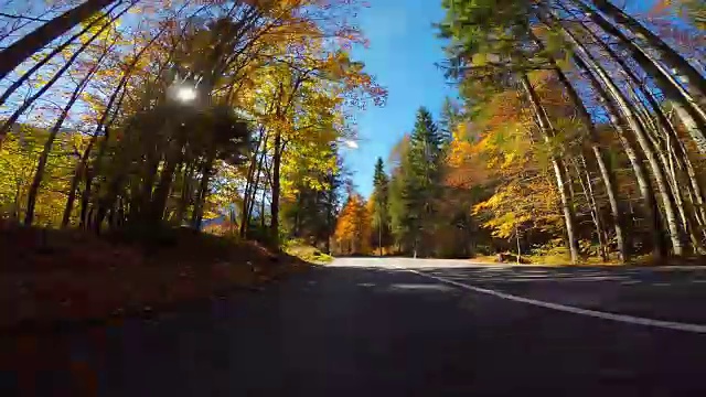 行驶在风景优美的道路上，穿过秋天的森林，阳光照耀着五颜六色的树叶视频素材