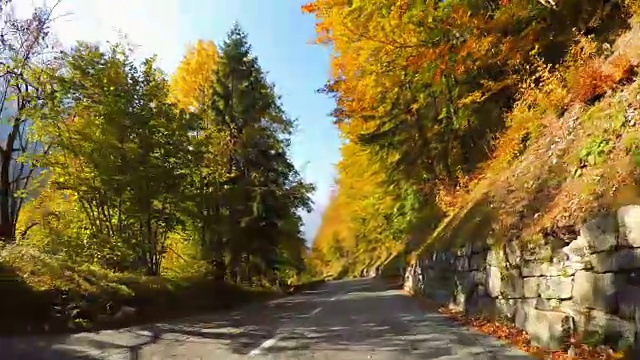 行驶在风景优美的道路上，穿过秋天的森林，阳光照耀着五颜六色的树叶视频素材