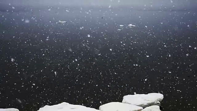 海边的冬季大雪视频素材