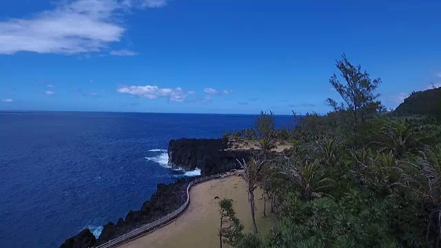 留尼旺肋骨视频素材