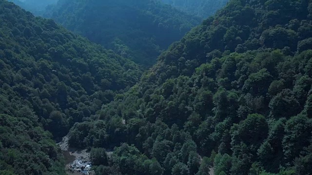 山上的森林中有雾和云。鸟瞰图上的绿色山丘与白色的雾，云。Guria地区,格鲁吉亚。常绿森林上空的低云。4 k航拍镜头视频下载