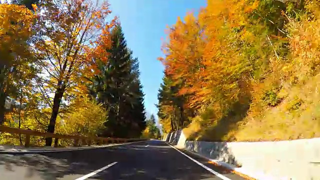 在阳光明媚的日子里，开车在山上穿过五彩缤纷的秋天森林视频素材