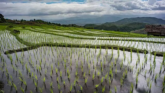 水稻种植，云天映水。山地水稻种植视频下载