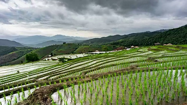 水稻种植，云天映水。山地水稻种植视频下载