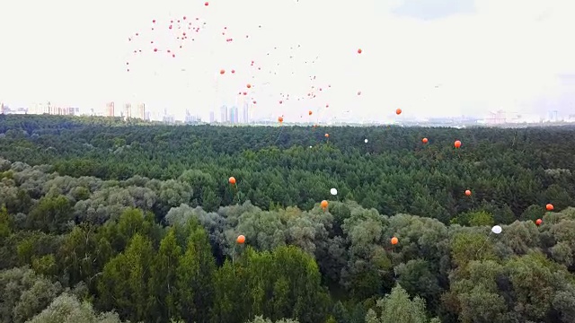 在树上空放飞气球视频下载